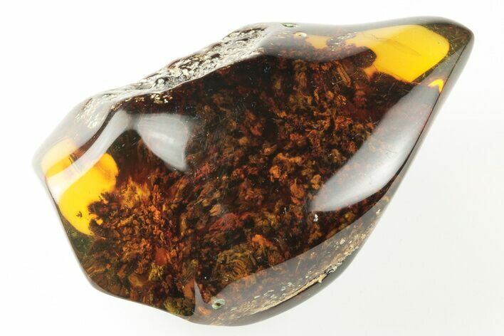 Polished Chiapas Amber ( grams) - Mexico #193284